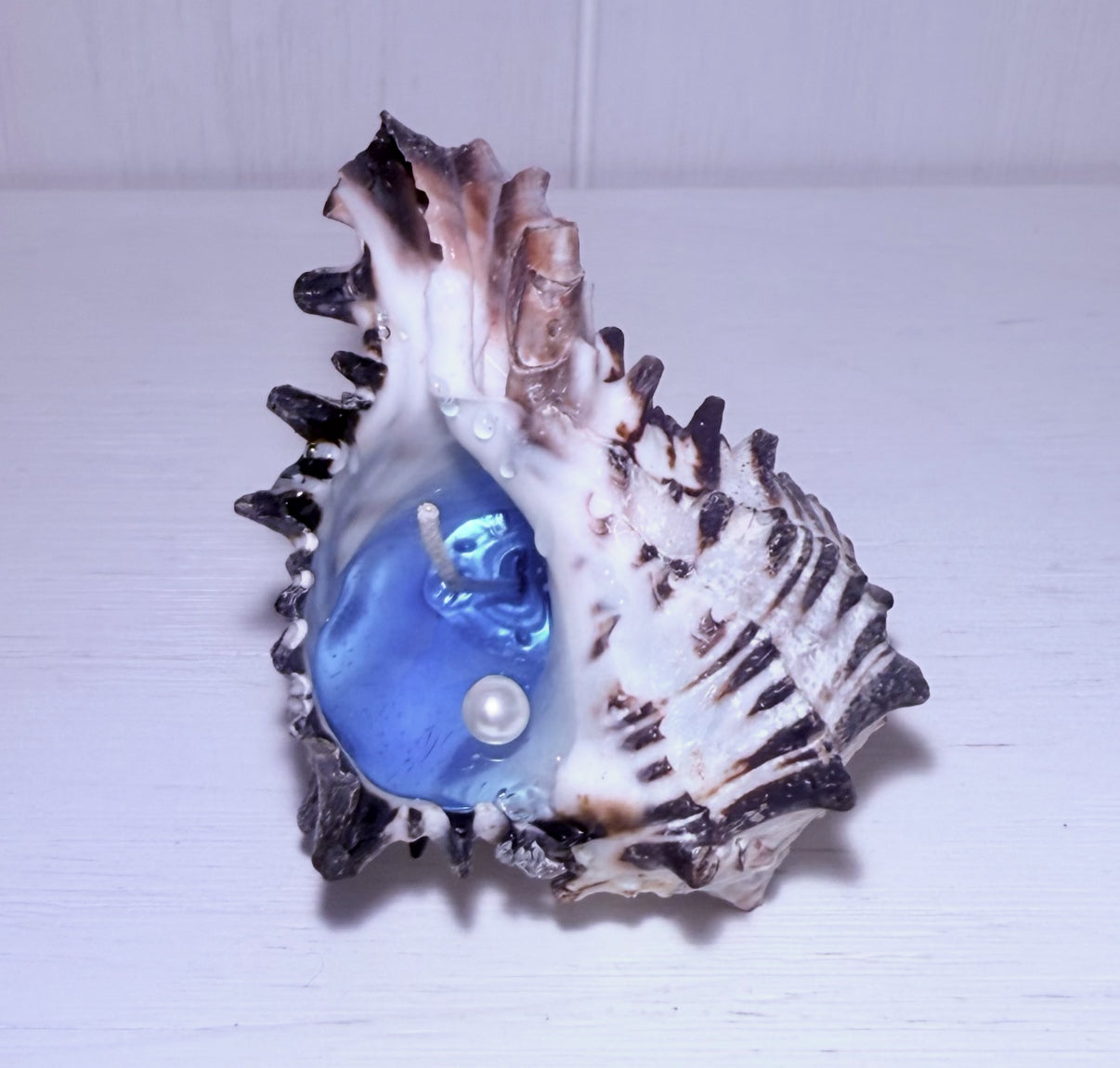 Ocean breeze Conch Candle