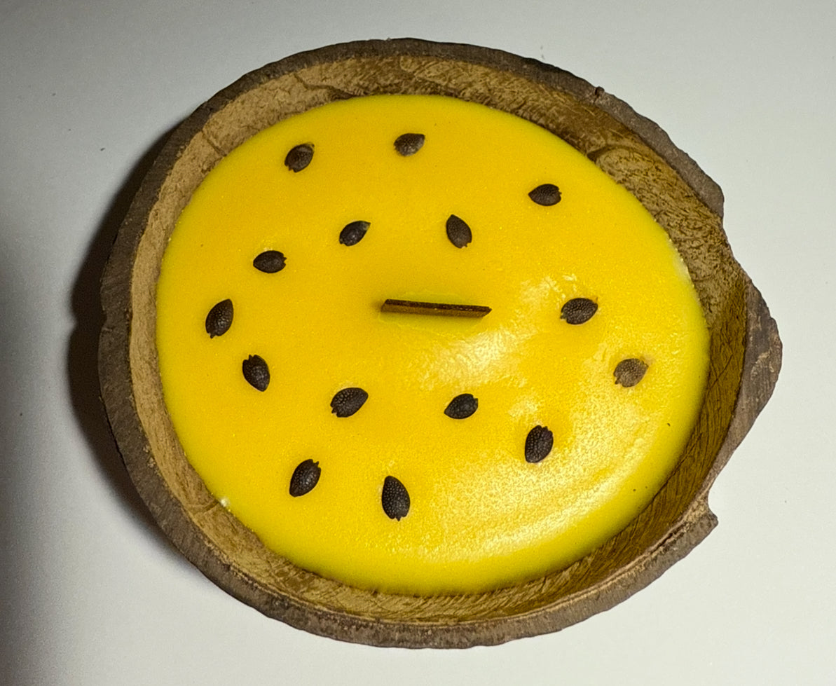 Passion fruit coconut shell candle