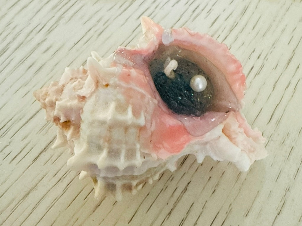 Ocean breeze conch candle