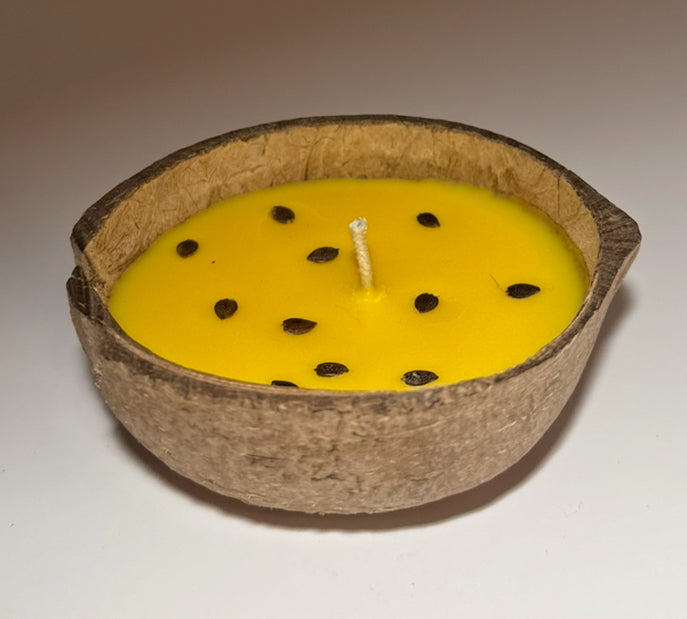 Passion fruit coconut shell candle